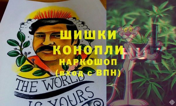 винт Бородино