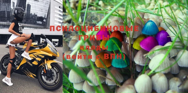 МДПВ Бронницы