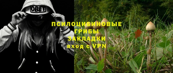 первитин Богородицк