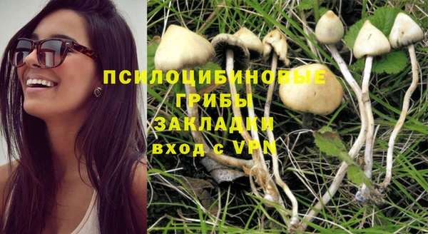 МДПВ Бронницы